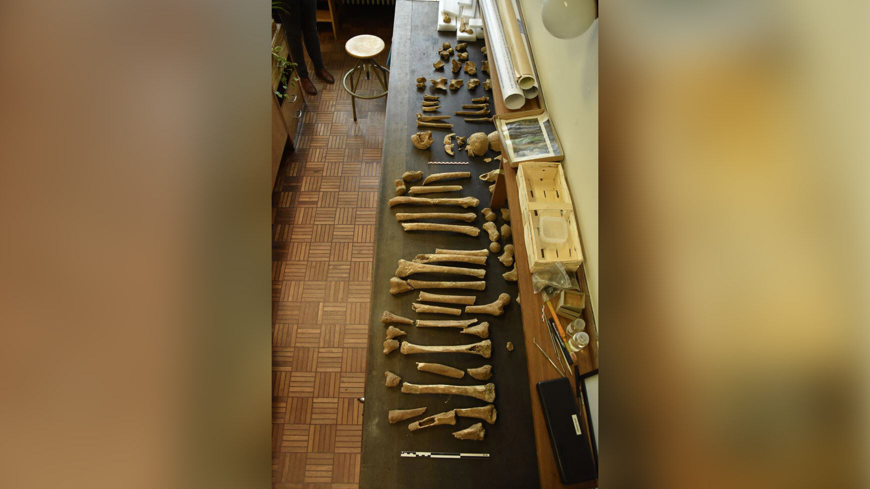 Only two bodies from the Battle of Waterloo had ever been found -- until one man revealed what was in his attic